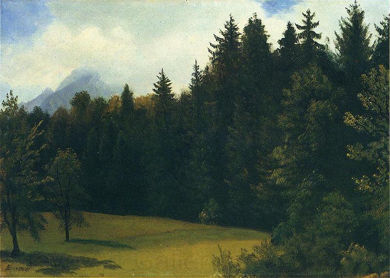 Albert Bierstadt Greater San Francisco Area (Mountain Glade and Mountain Resort) France oil painting art